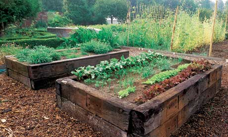 Raised  Gardening on Nice Feature That Helps Make Gardening Easier On The Body