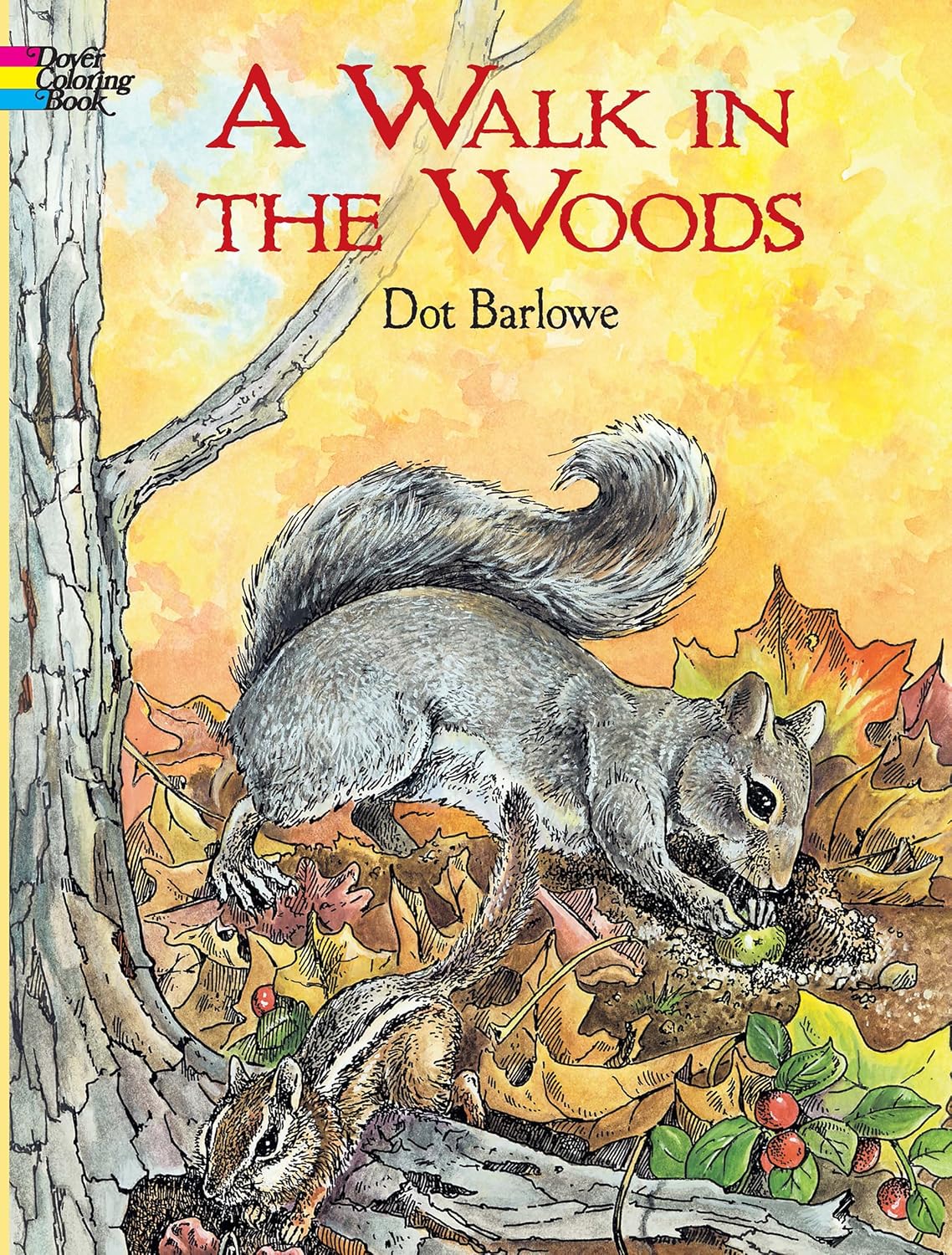 A Walk In The Woods Coloring Book by Dot Barlowe